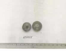 Click for 1 image(s) for this accession. FRUIT